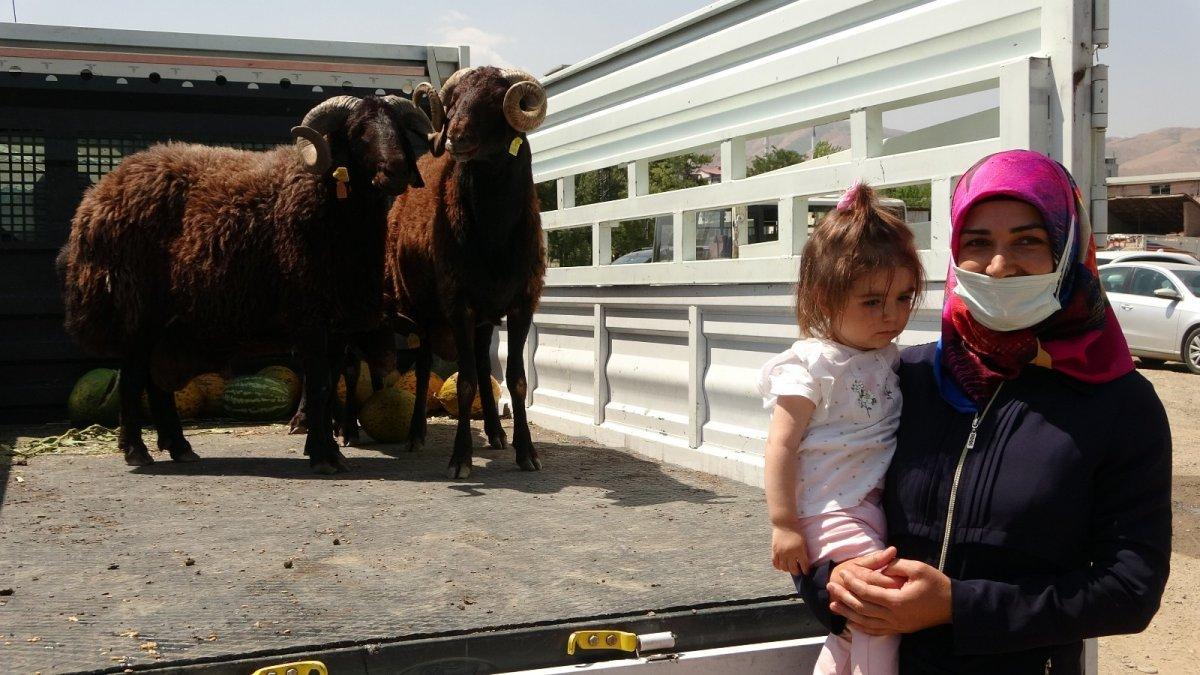 Muş'ta devlet destekli küçükbaş hayvan dağıtıldı
