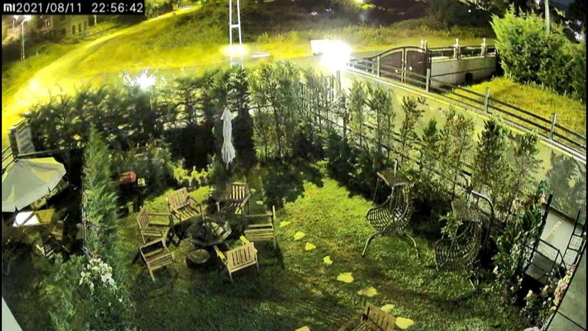 Sarıyer'de ATV ile köpeği ezmeye çalıştı