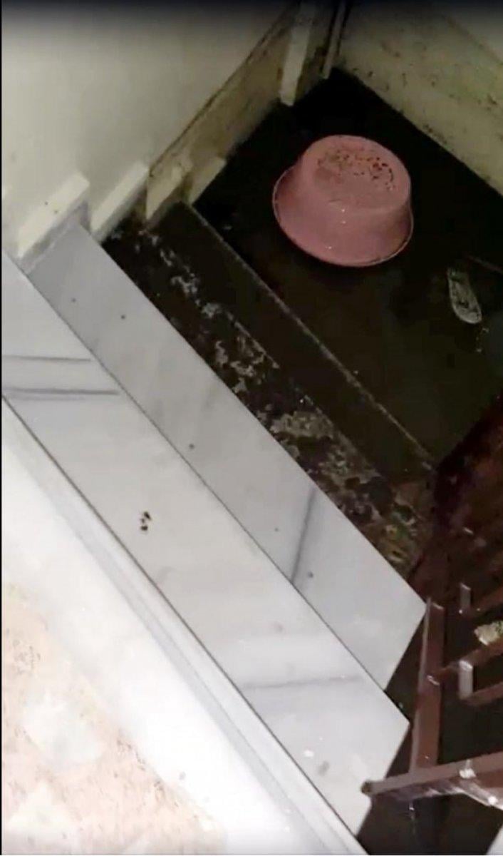 Kastamonu’da selde mahsur kalan üçüzlerin korkusu kamerada