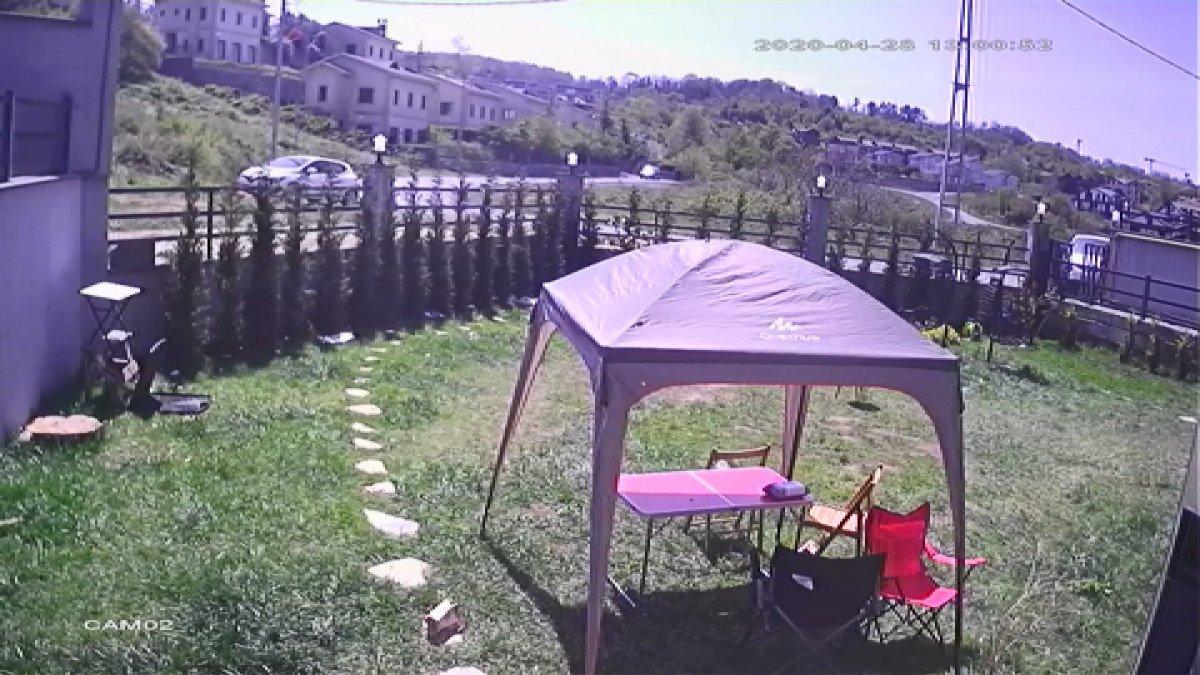 Sarıyer'de ATV ile köpeği ezmeye çalıştı