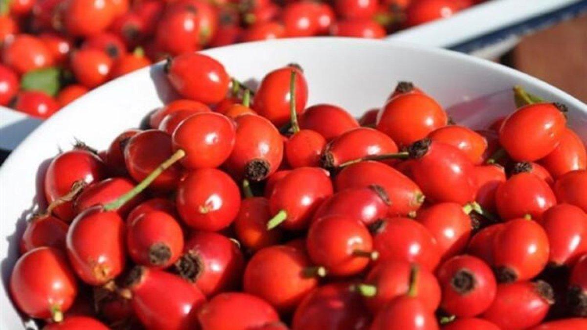 K vitamini, damar tıkanıklığını önlüyor