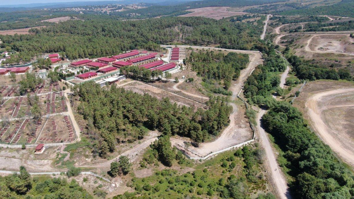 İBB'nin hayvan barınağındaki vahşet görüntülendi