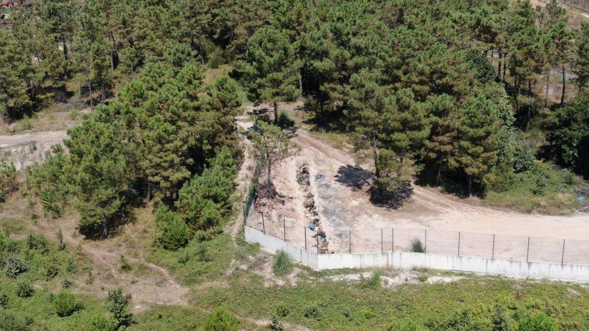 İBB'nin hayvan barınağındaki vahşet görüntülendi