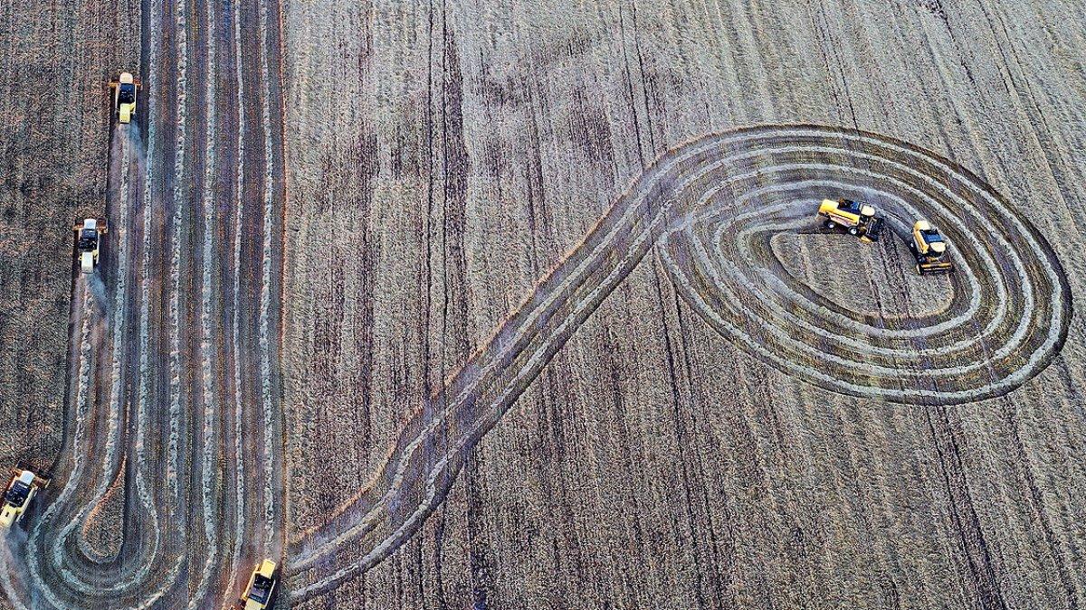 Hububat rekoltesi düştü ama kalitesi arttı