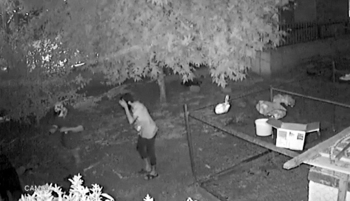 Osmaniye'de eve giren hırsızın kamerayı görünceki tavrı güldürdü