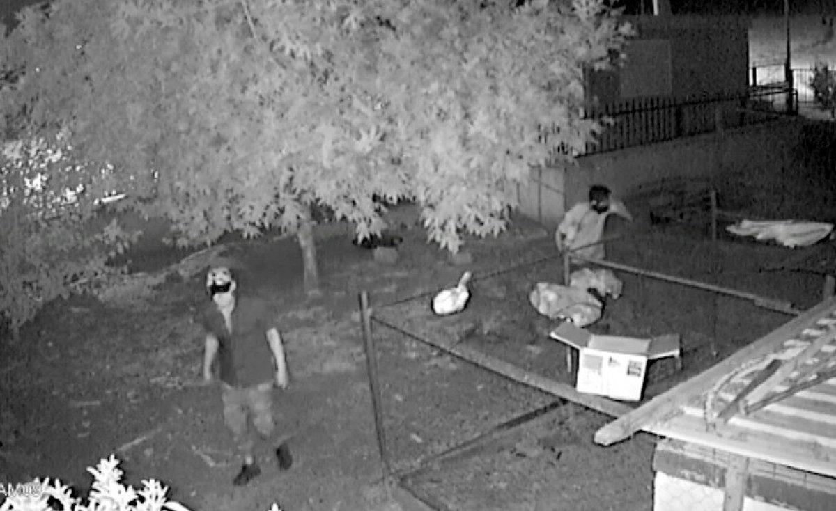 Osmaniye'de eve giren hırsızın kamerayı görünceki tavrı güldürdü