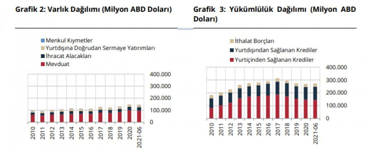 Finansal kesim dışı net döviz açığı