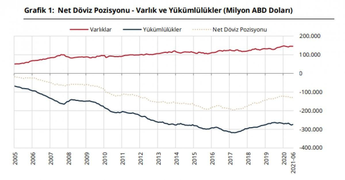 Finansal kesim dışı net döviz açığı