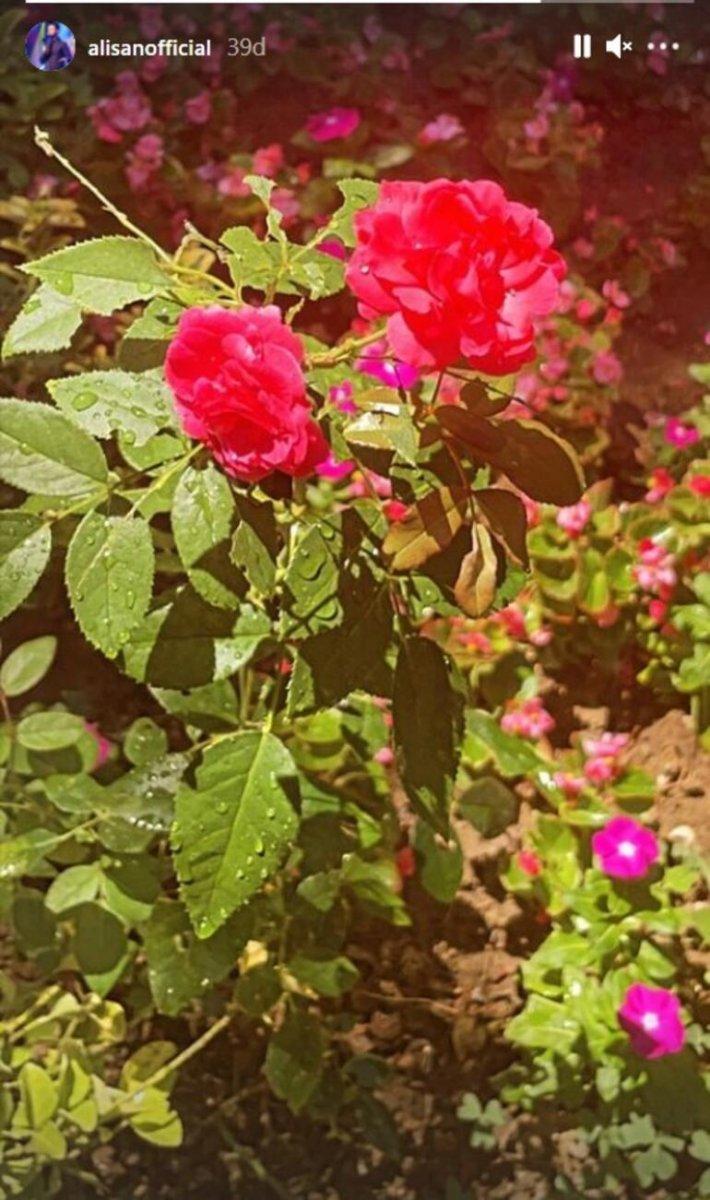 Alişan, kardeşinin yokluğuna alışamıyor