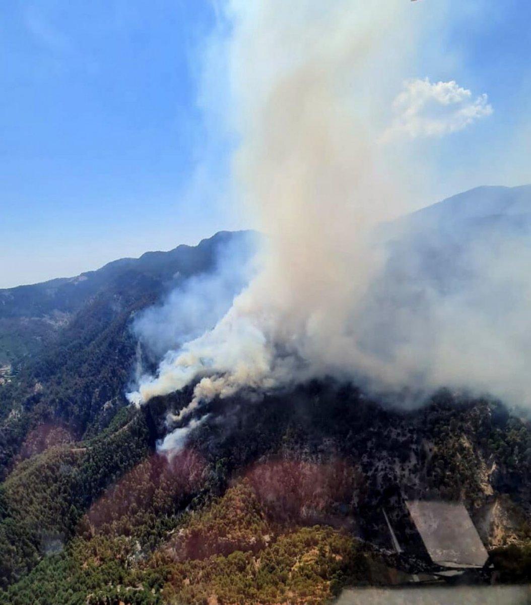 Muğla Köyceğiz'de orman yangını
