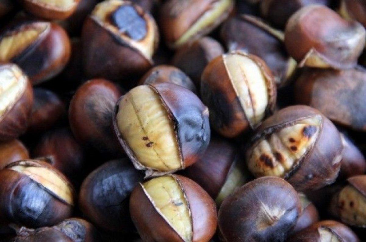 E vitamini açısından zengin 10 besin