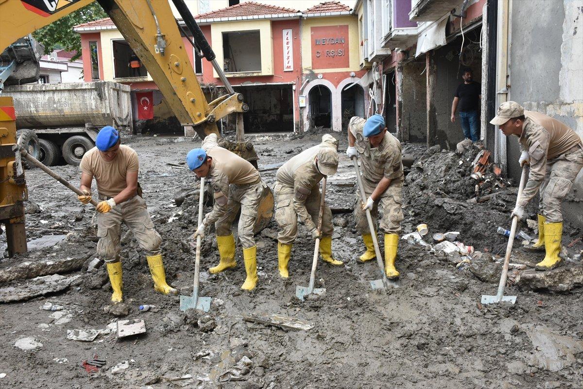 Mavi Bereliler, Bozkurt'ta yaraları sarmak için harekete geçti