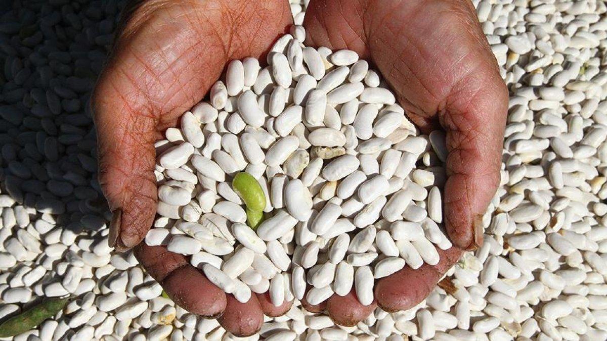 E vitamini açısından zengin 10 besin