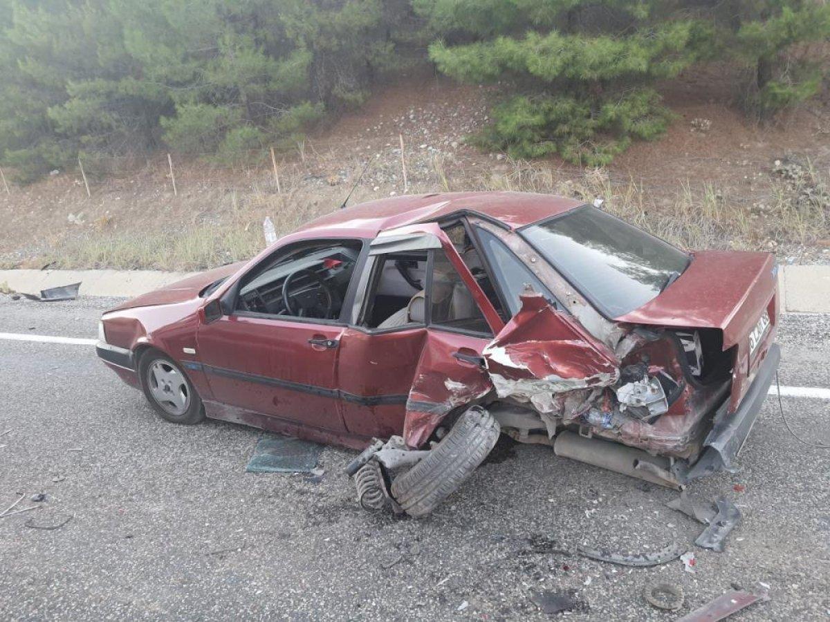 Adıyaman'da yola çıkan köpek kazaya neden oldu