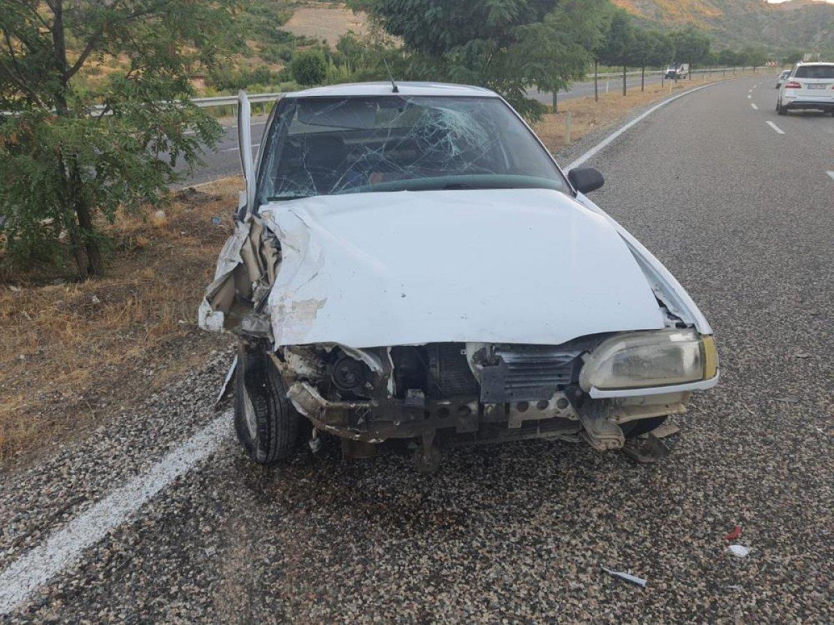 Adıyaman'da yola çıkan köpek kazaya neden oldu