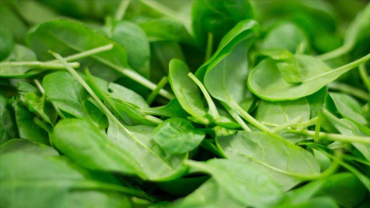 E vitamini açısından zengin 10 besin