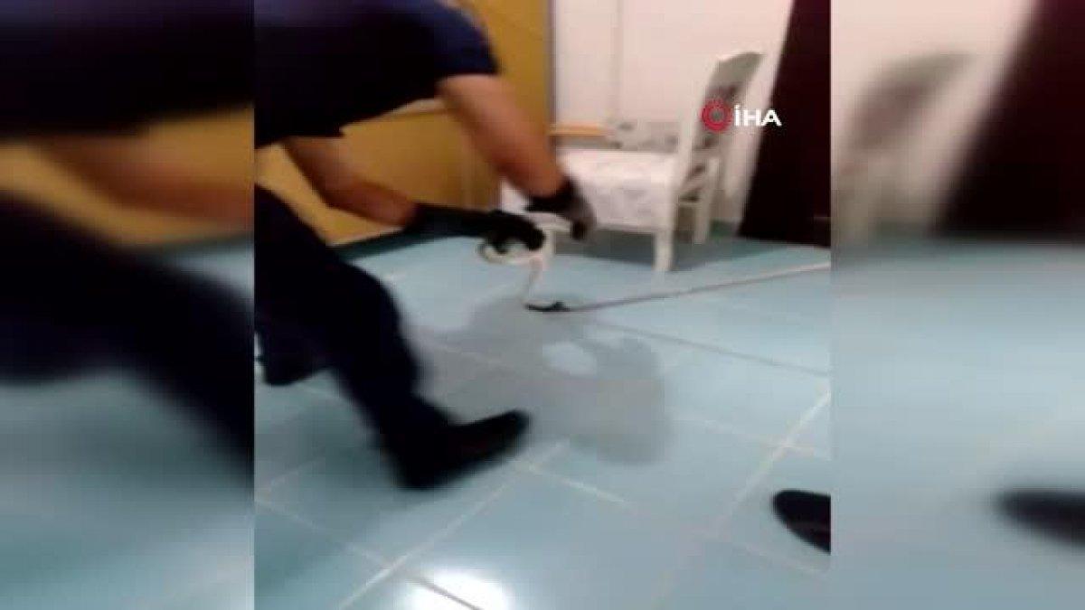 Avcılar'da evden yılan çıktı