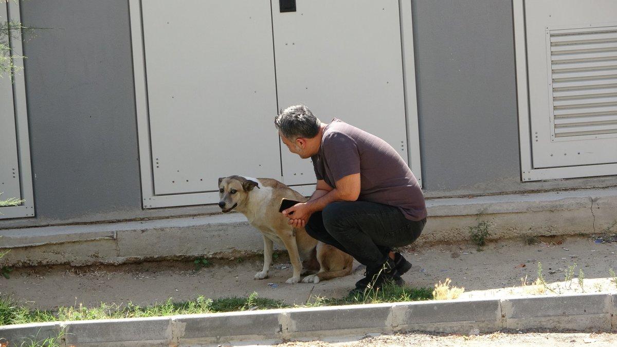 Tekirdağlı hayvansever Özay Kaya: Sokak hayvanına bu muameleme yapılamaz