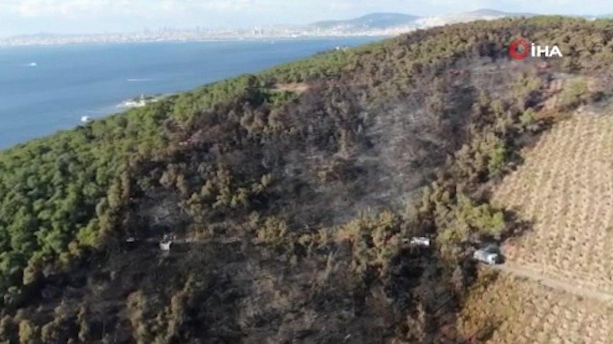 Heybeliada’da yangının bıraktığı hasar havadan görüntülendi