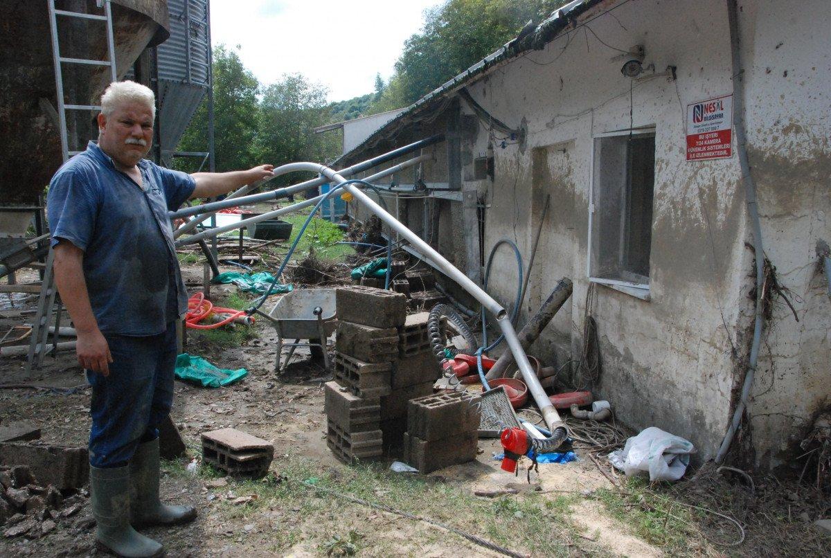 Bartın'da yaşanan sel felaketinde 24 bin tavuk telef oldu