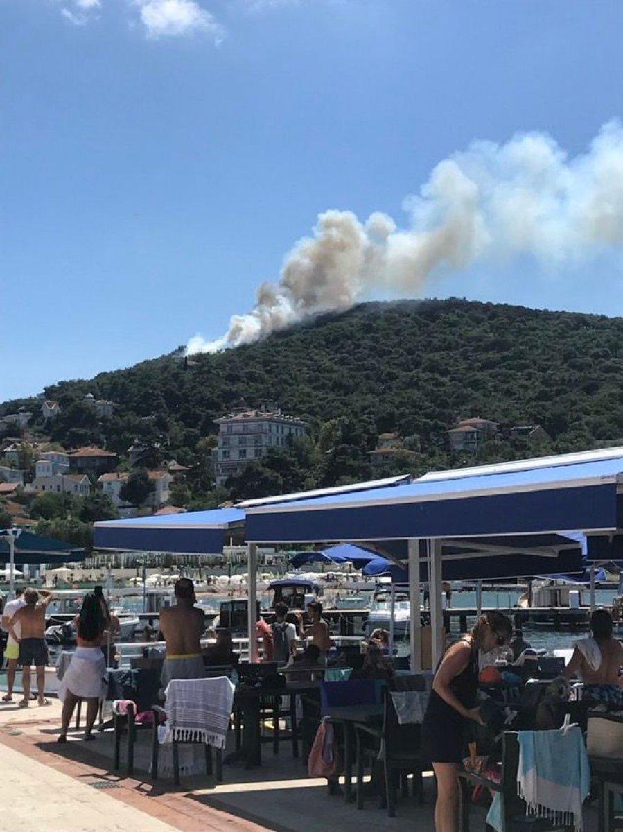 Adalar Belediye Başkanı Erdem Gül: Yangının yerleşim yerlerine sıçrama riski yok