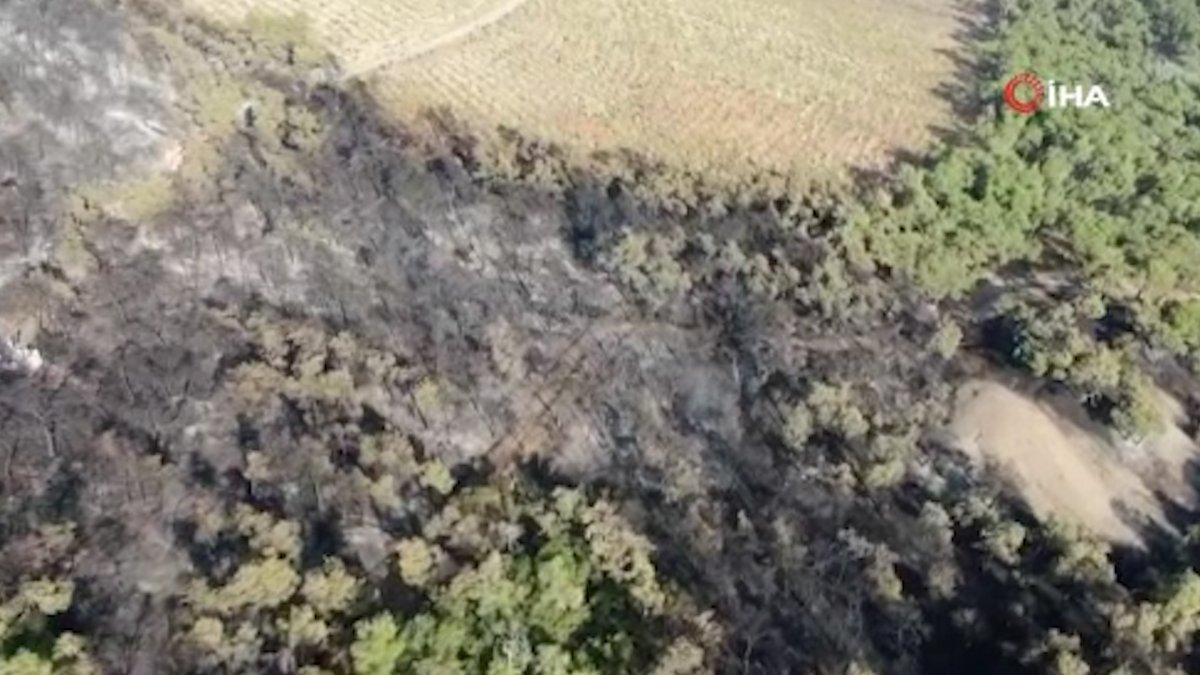 Heybeliada’da yangının bıraktığı hasar havadan görüntülendi