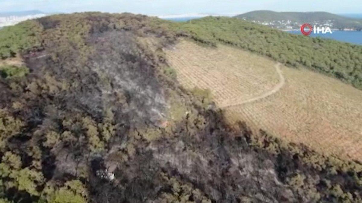 Heybeliada’da yangının bıraktığı hasar havadan görüntülendi