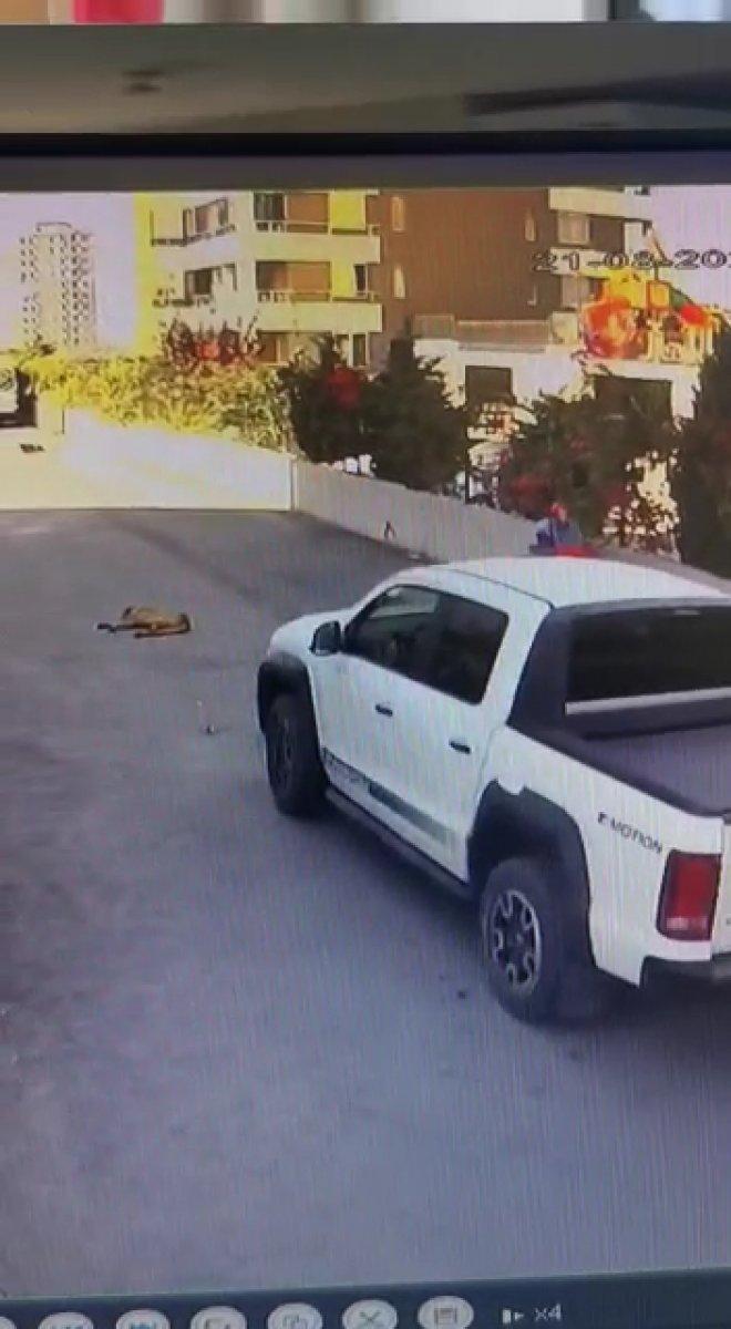 Mersin’de köpeği ezen sürücü kamerada
