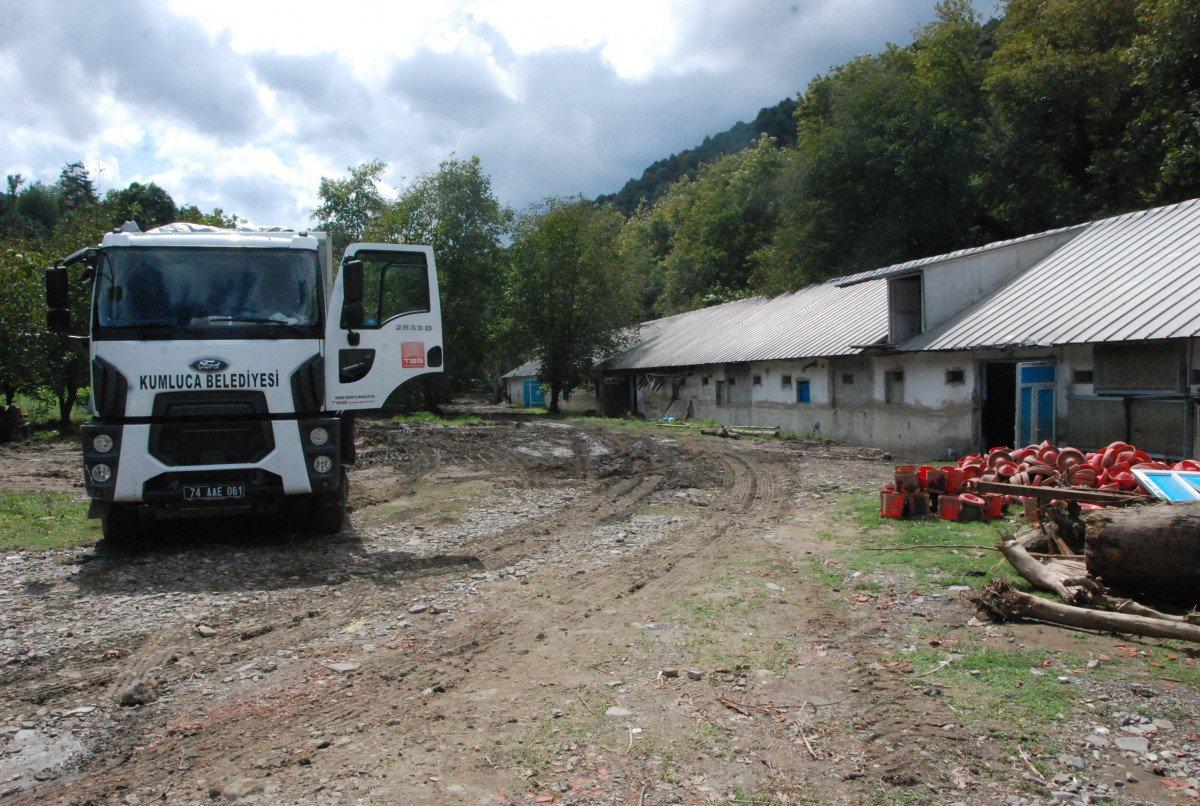 Bartın'da yaşanan sel felaketinde 24 bin tavuk telef oldu