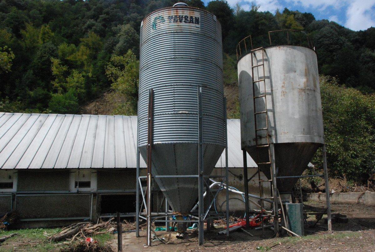 Bartın'da yaşanan sel felaketinde 24 bin tavuk telef oldu