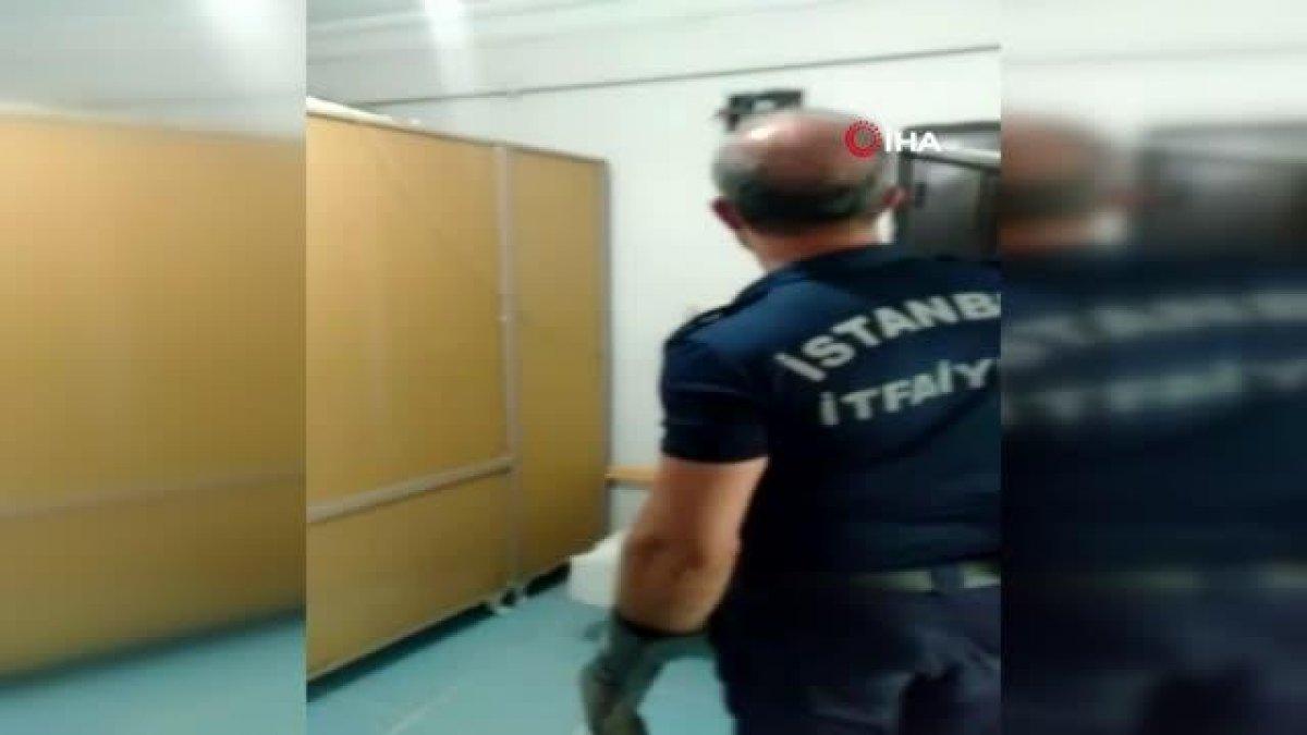 Avcılar'da evden yılan çıktı