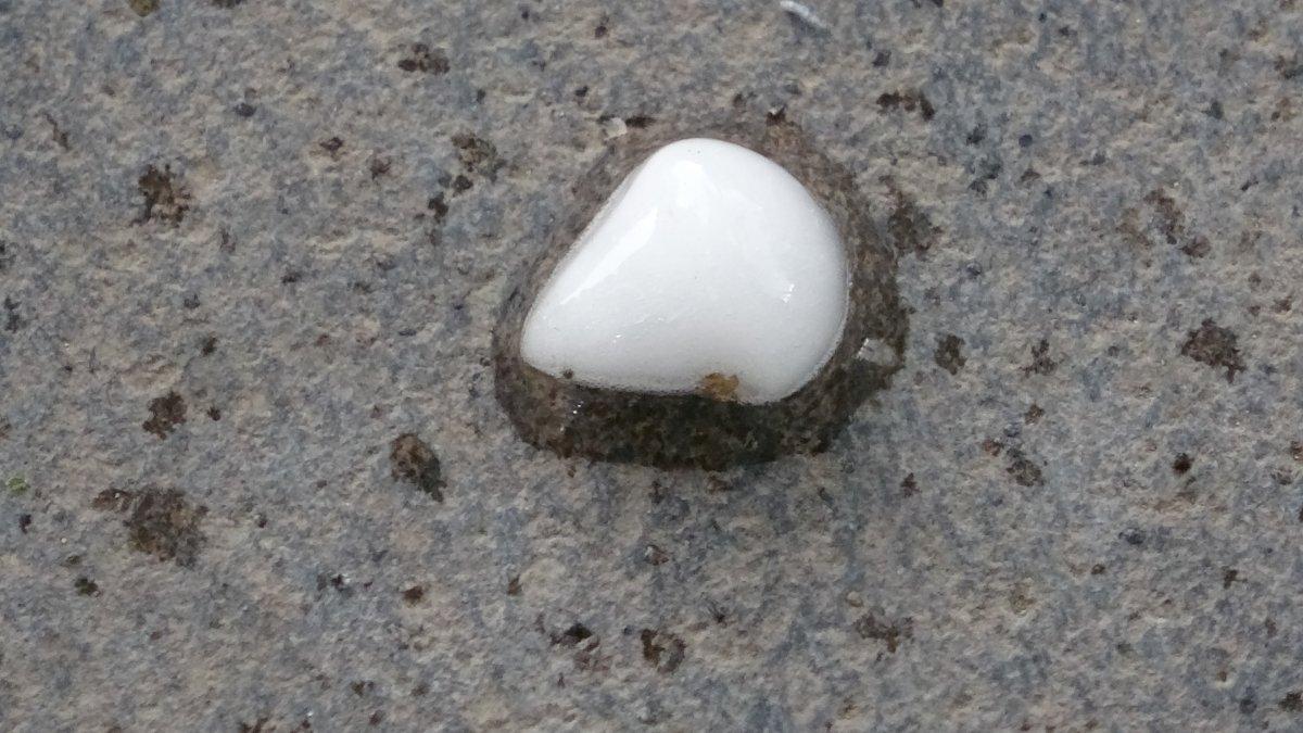 Ardahan'da dolu yağışı sele neden oldu