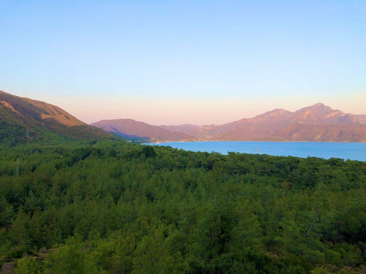 Muğla'da yanan ormanlar kendi kendine yeşeriyor