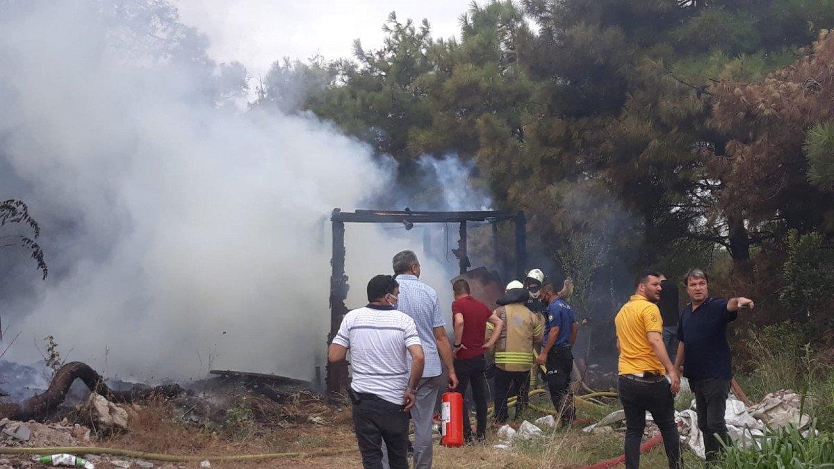 Maltepe'deki Başıbüyük Ormanı’nda yangın