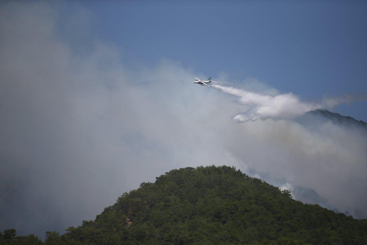 Kaz Dağları'nda orman yangını