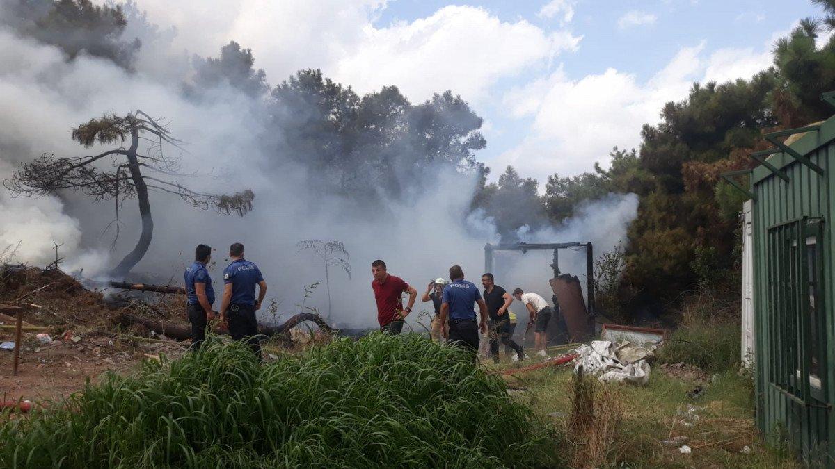 Maltepe'deki Başıbüyük Ormanı’nda yangın