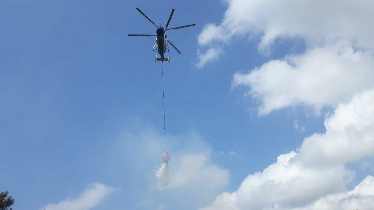 Maltepe'deki Başıbüyük Ormanı’nda yangın