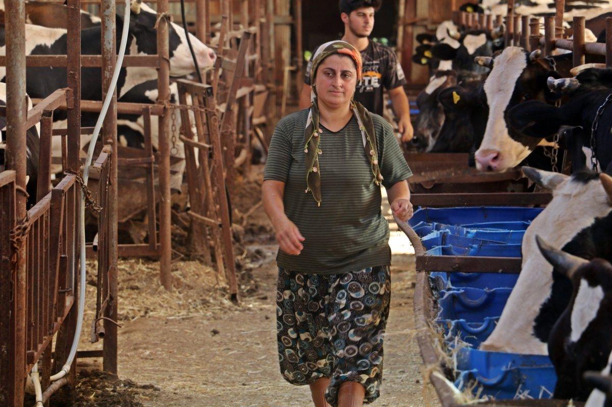 Antalya'da emekleriyle aldığı atını çaldıran kadın, hırsızlıktan şikayetçi