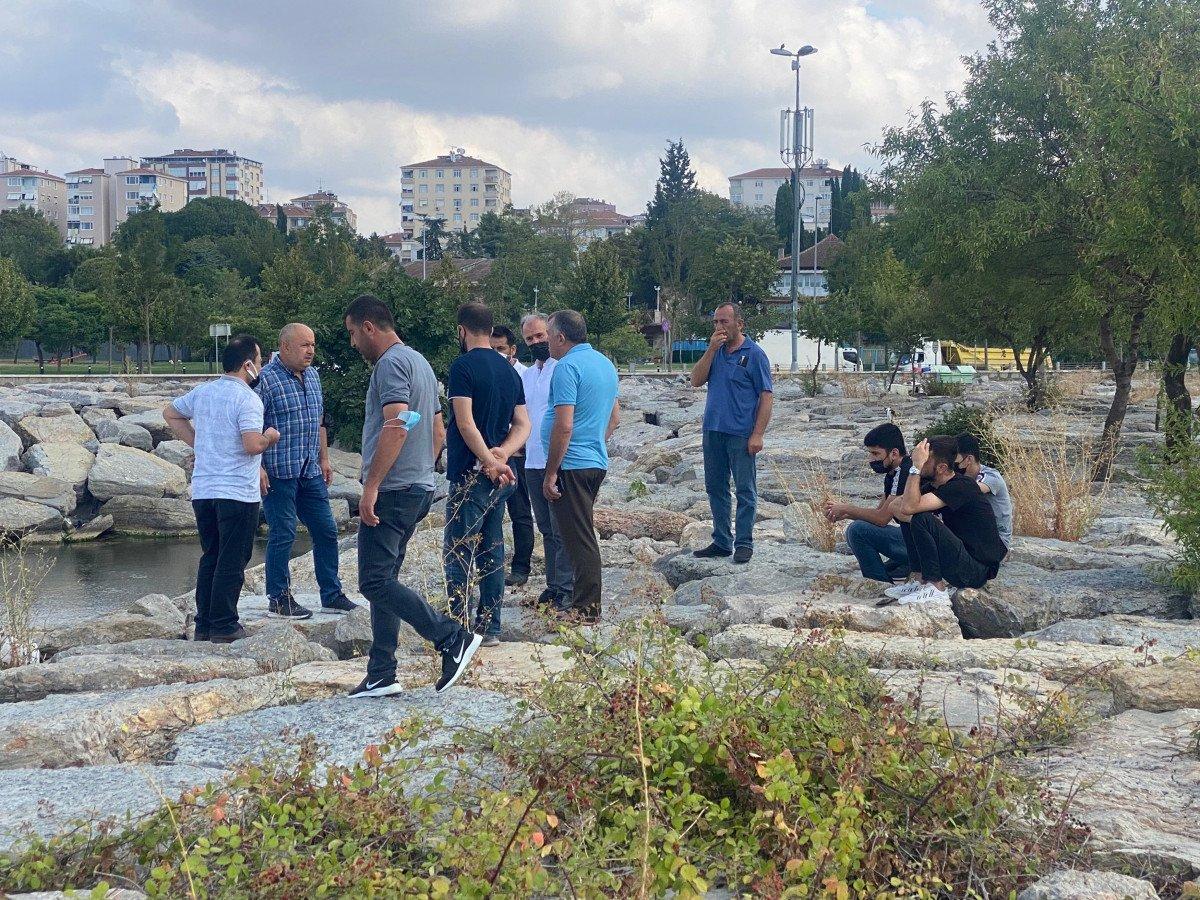 İstanbul'da denizde saldıran pitbull öldürdü iddiası