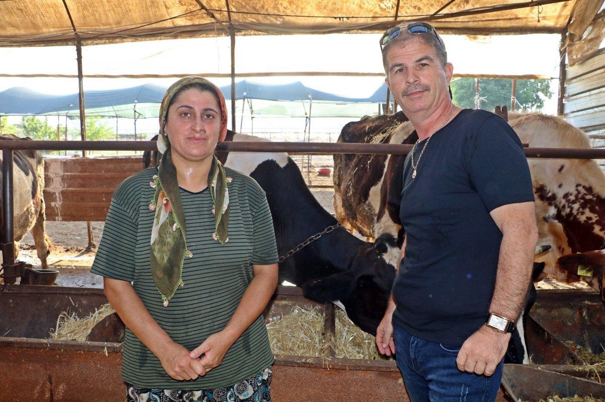 Antalya'da emekleriyle aldığı atını çaldıran kadın, hırsızlıktan şikayetçi