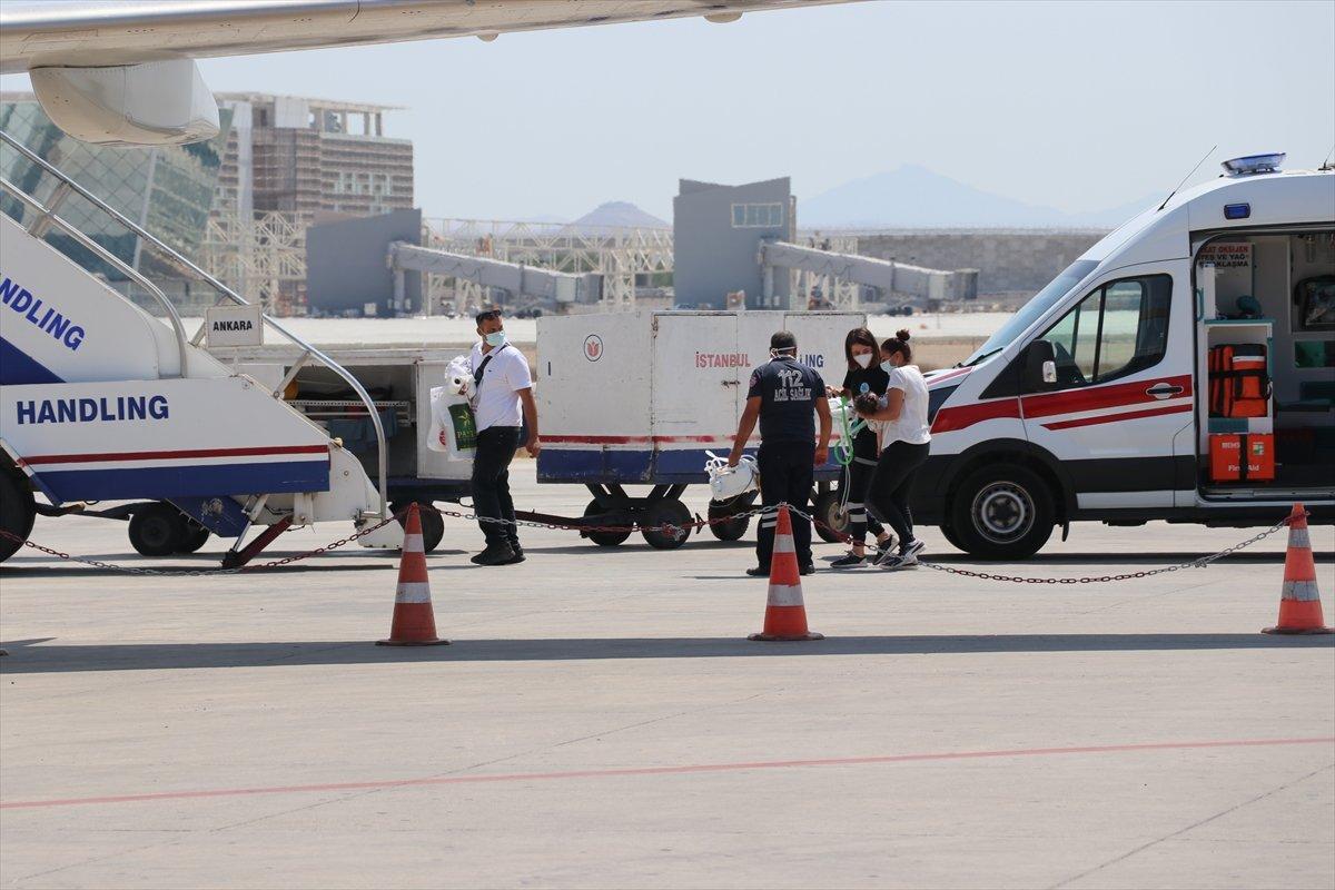 SMA hastası 9 aylık Asya, Türkiye'de ücretsiz tedavi edilecek