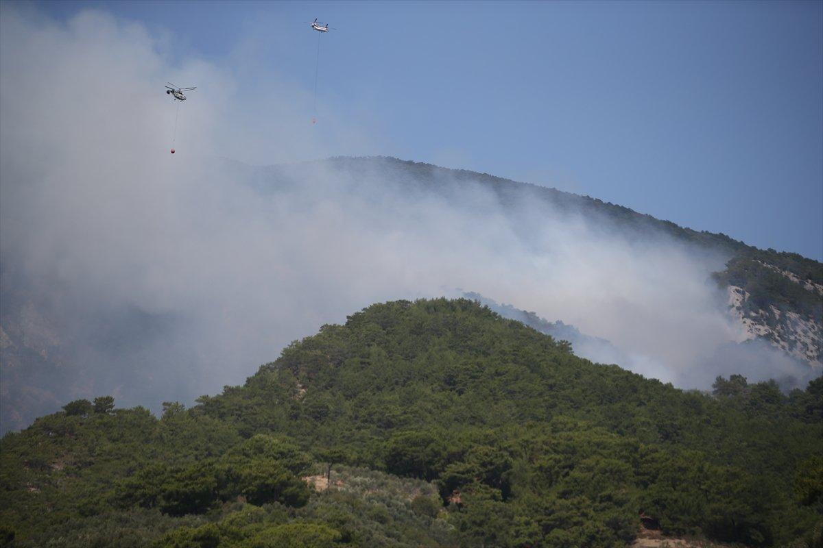 Kaz Dağları'nda orman yangını