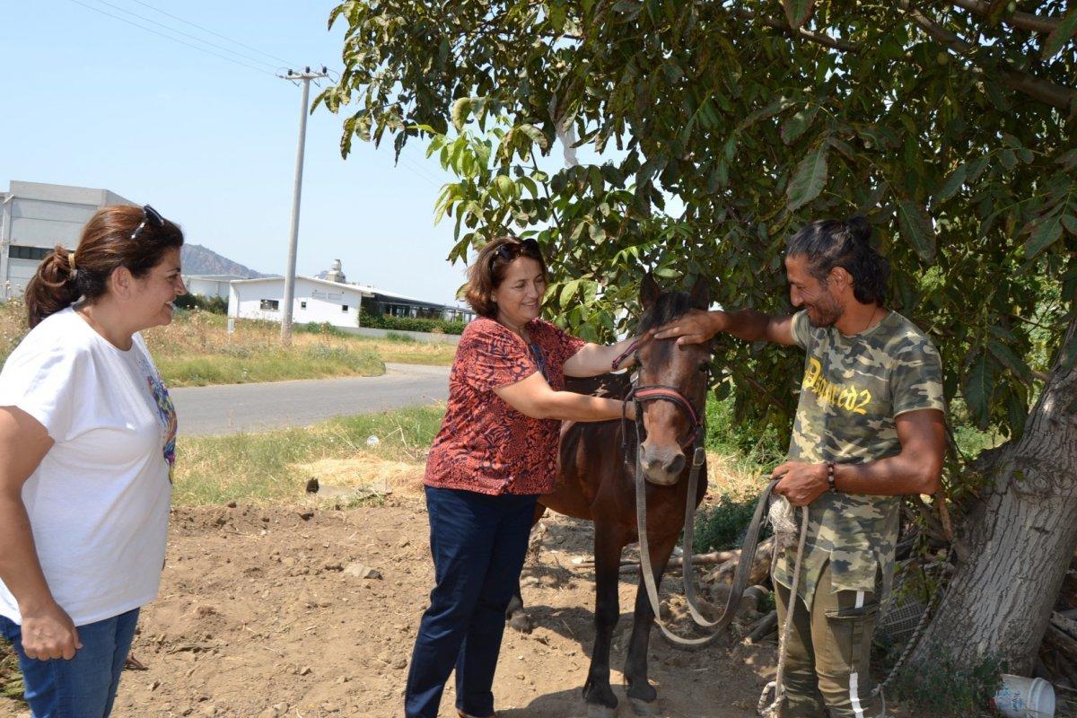 'Kaşif' adını verdiği atıyla İzmir’den Batman’a yürüyecek