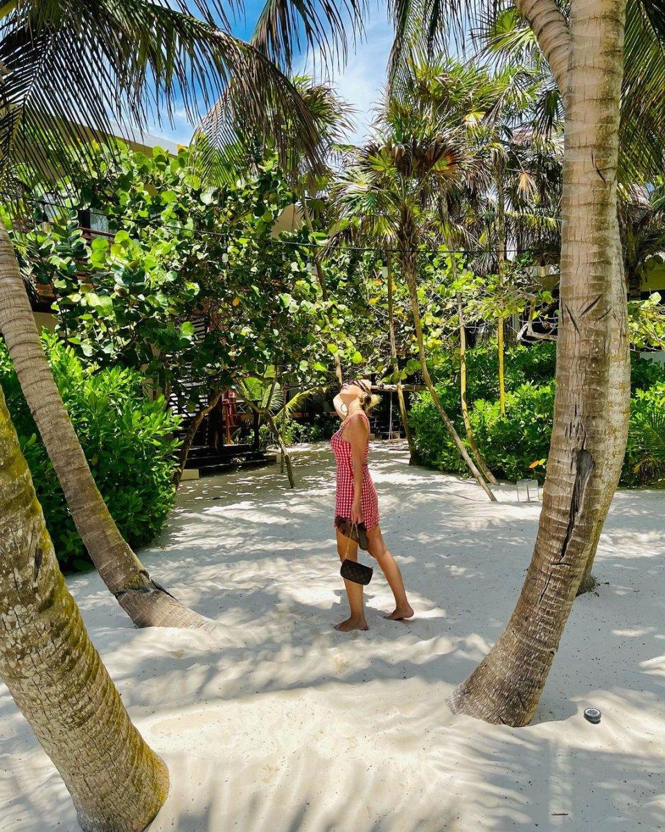 Mehmet Dinçerler, Hadise'nin yüzünü güldürdü