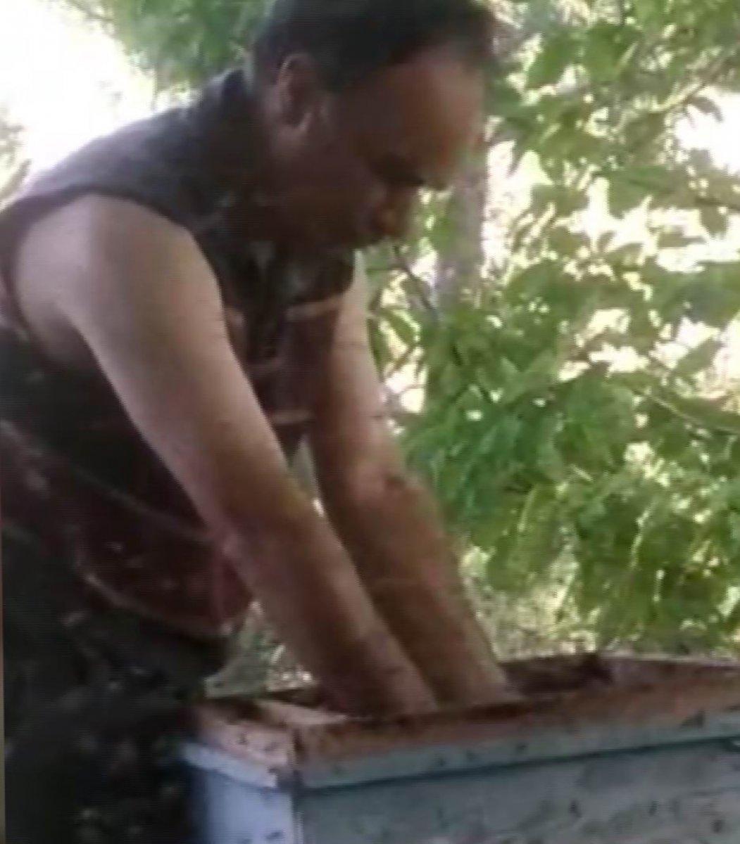 Kayseri'de korkusuz arıcı görenleri şaşırtıyor