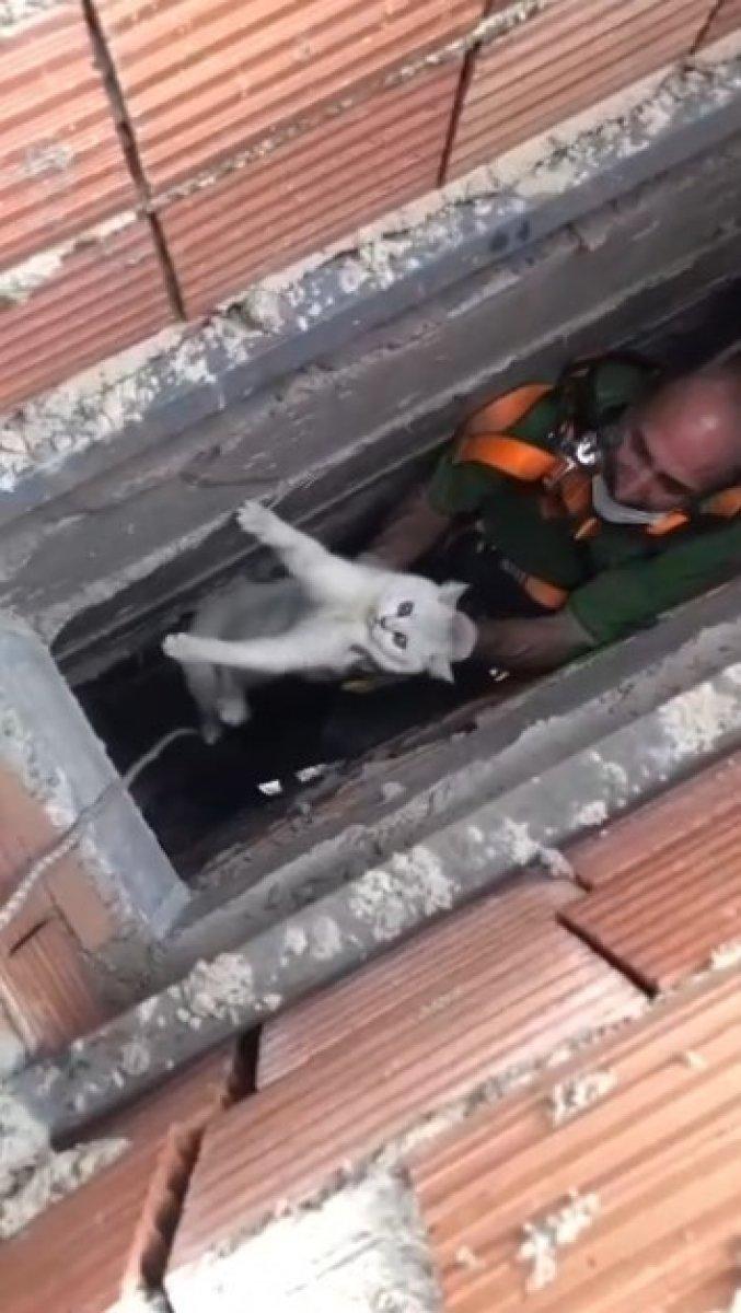 Isparta’da apartman boşluğuna düşen kedi için halat sistemi kuruldu