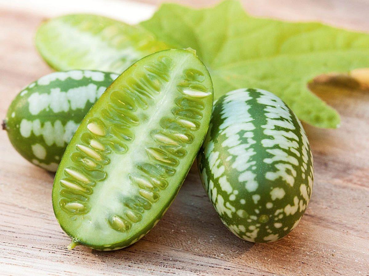 Dışı karpuz içi salatalık: Cucamelon meyvesinin faydaları