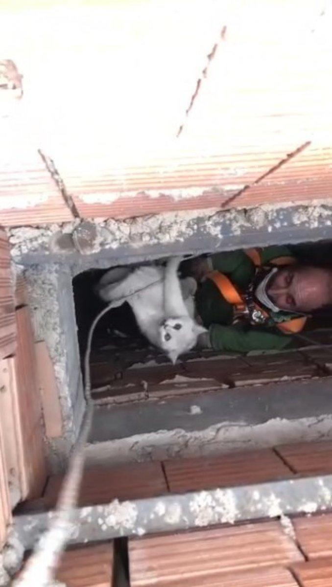 Isparta’da apartman boşluğuna düşen kedi için halat sistemi kuruldu