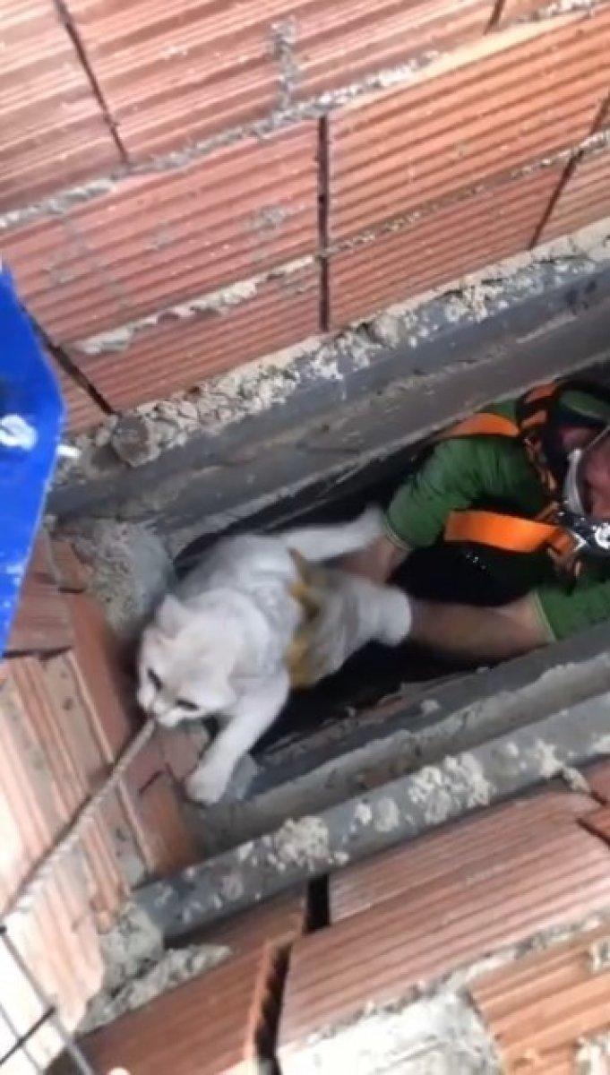 Isparta’da apartman boşluğuna düşen kedi için halat sistemi kuruldu