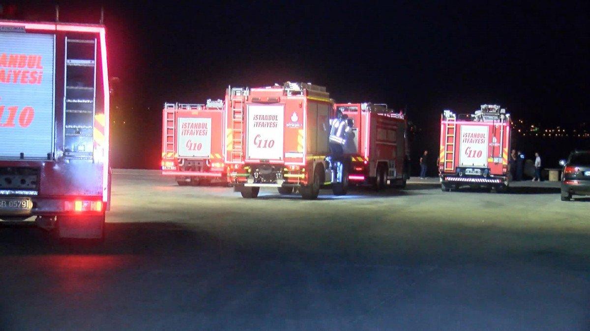 Heybeliada'daki yangın söndürüldü